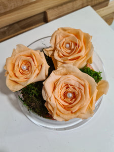 Roses éternelles x 3 sous cloche