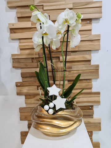 Orchidée blanche vasque or