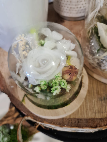 Petite cloche fleurs séchées blanches