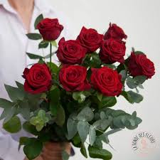 Bouquet de grandes Roses rouges